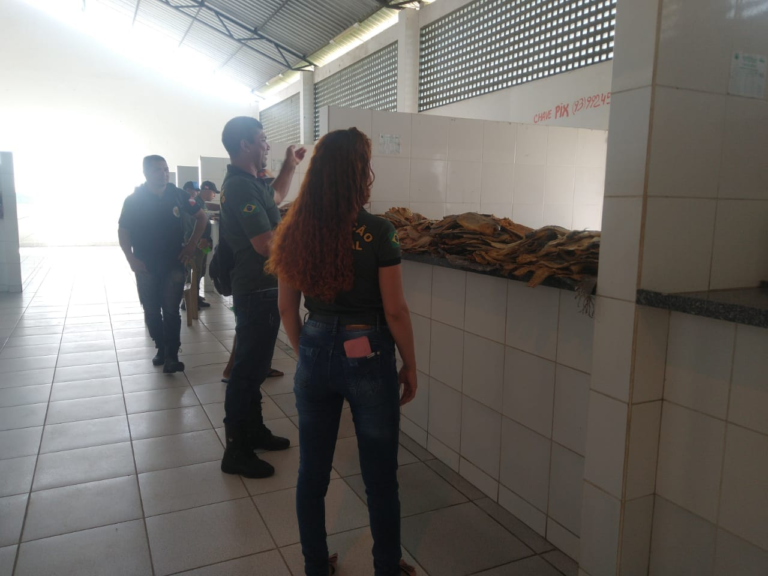 SEMMA realiza fiscalização nas bancas de peixe do município de Curuá.